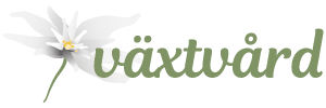 vaxtvard